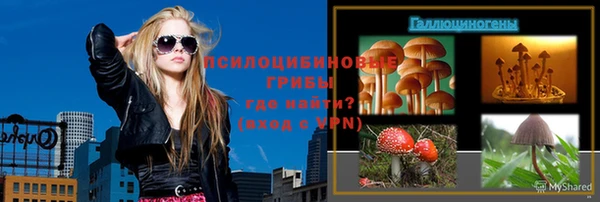 МДПВ Горняк