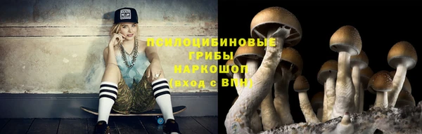 прущий лед Горно-Алтайск
