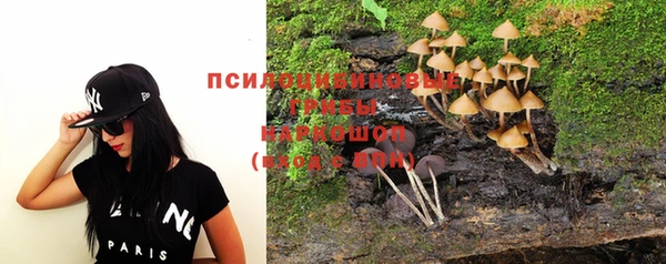 МДПВ Горняк