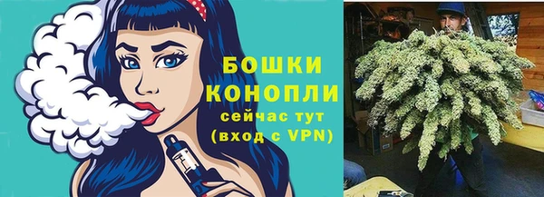МДПВ Горняк