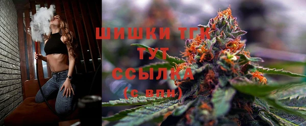 ECSTASY Волоколамск