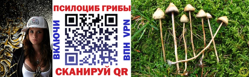 Галлюциногенные грибы ЛСД  наркота  Железноводск 
